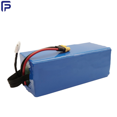 22.2V 100AHDeep Cycle Electric Scooter Battery , Portable Battery Power Station ODM