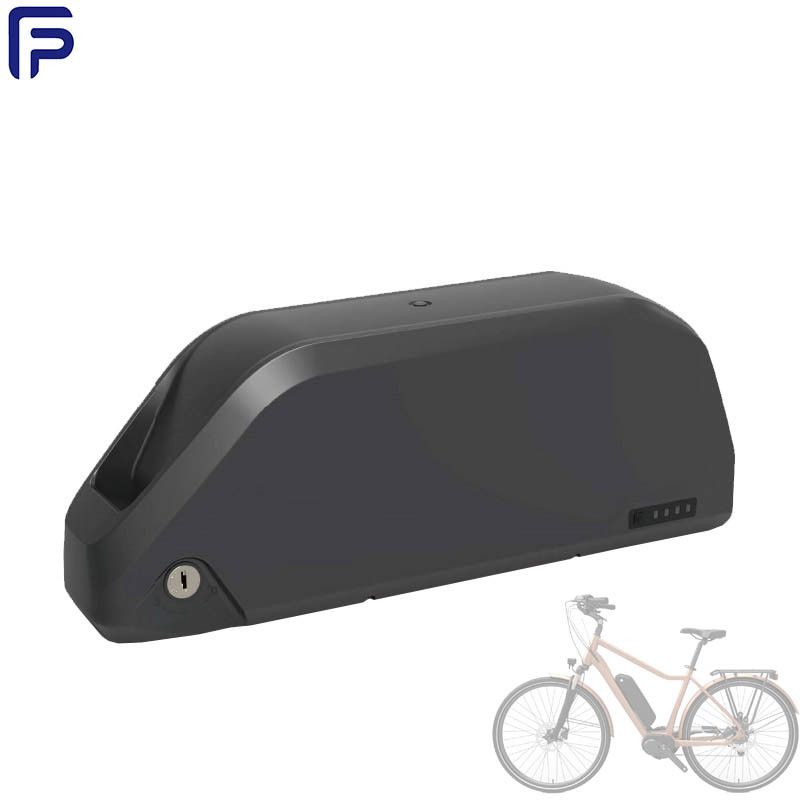 Li Ion 48v 21ah E bike Battery , Electric Bicycle Battery Pack ODM